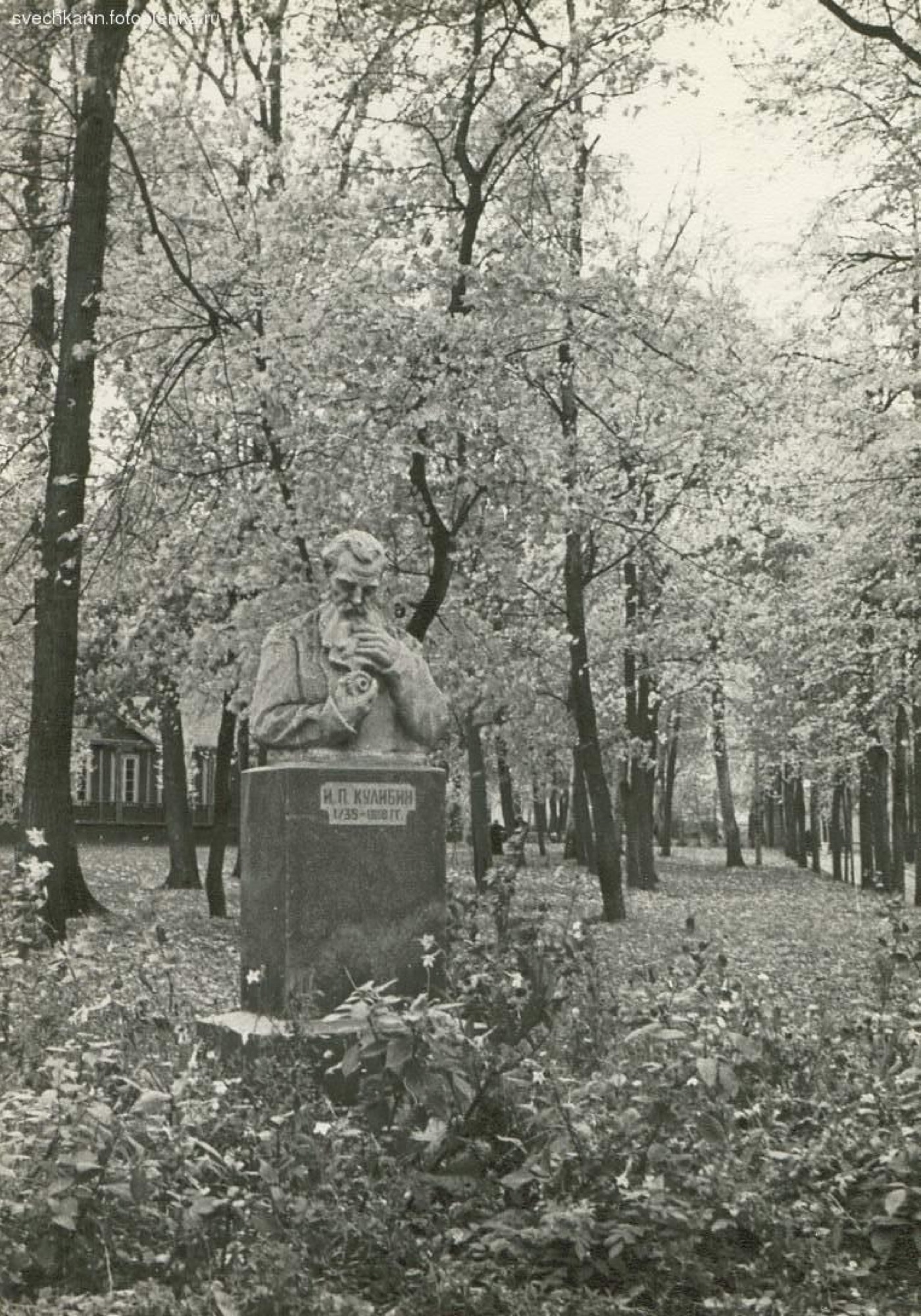 Бюст Кулибина парк аллея