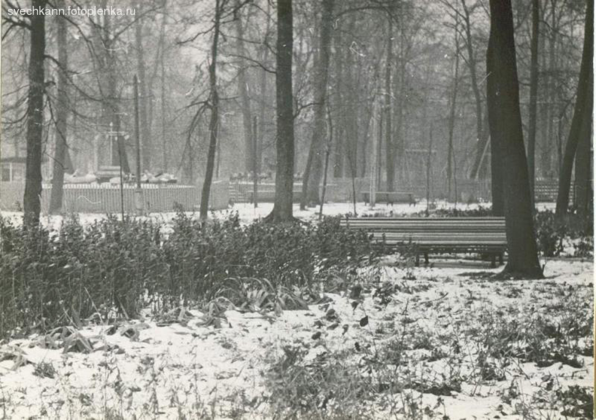 Городской парк зима скамейки 1970-е