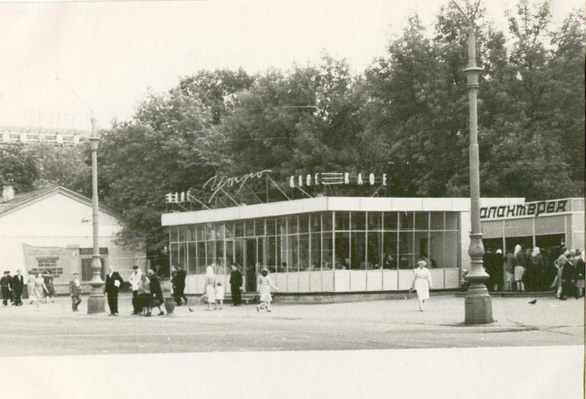 Кафе молочная центральная площадь 1960-е