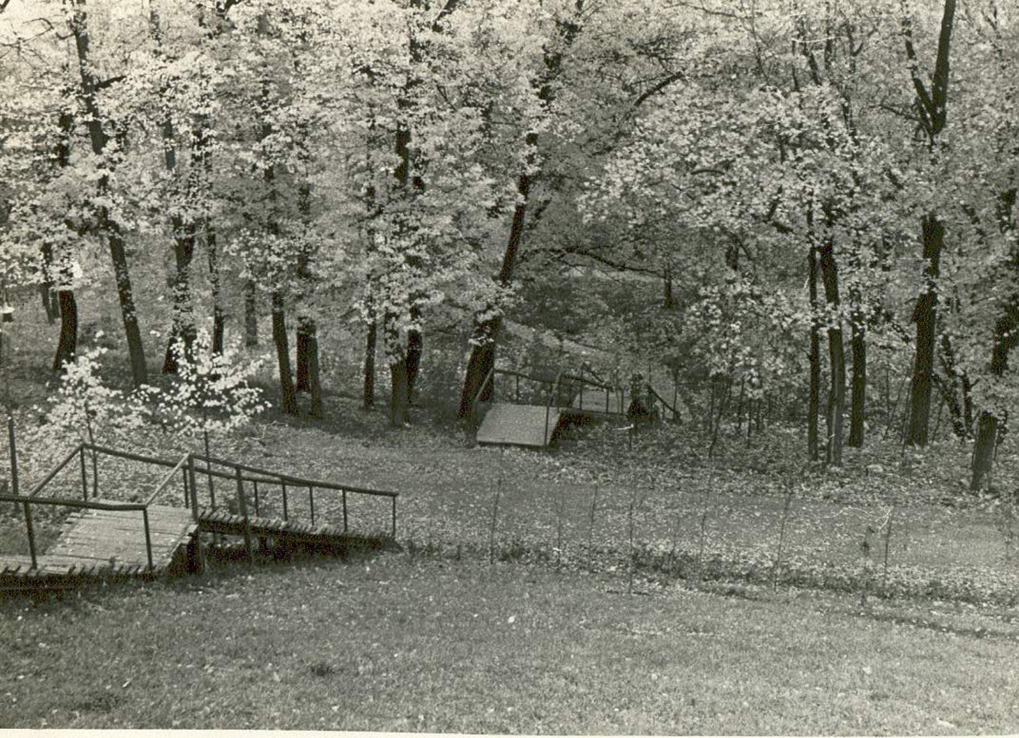 Парк лесные лестницы на склоне 1960-е