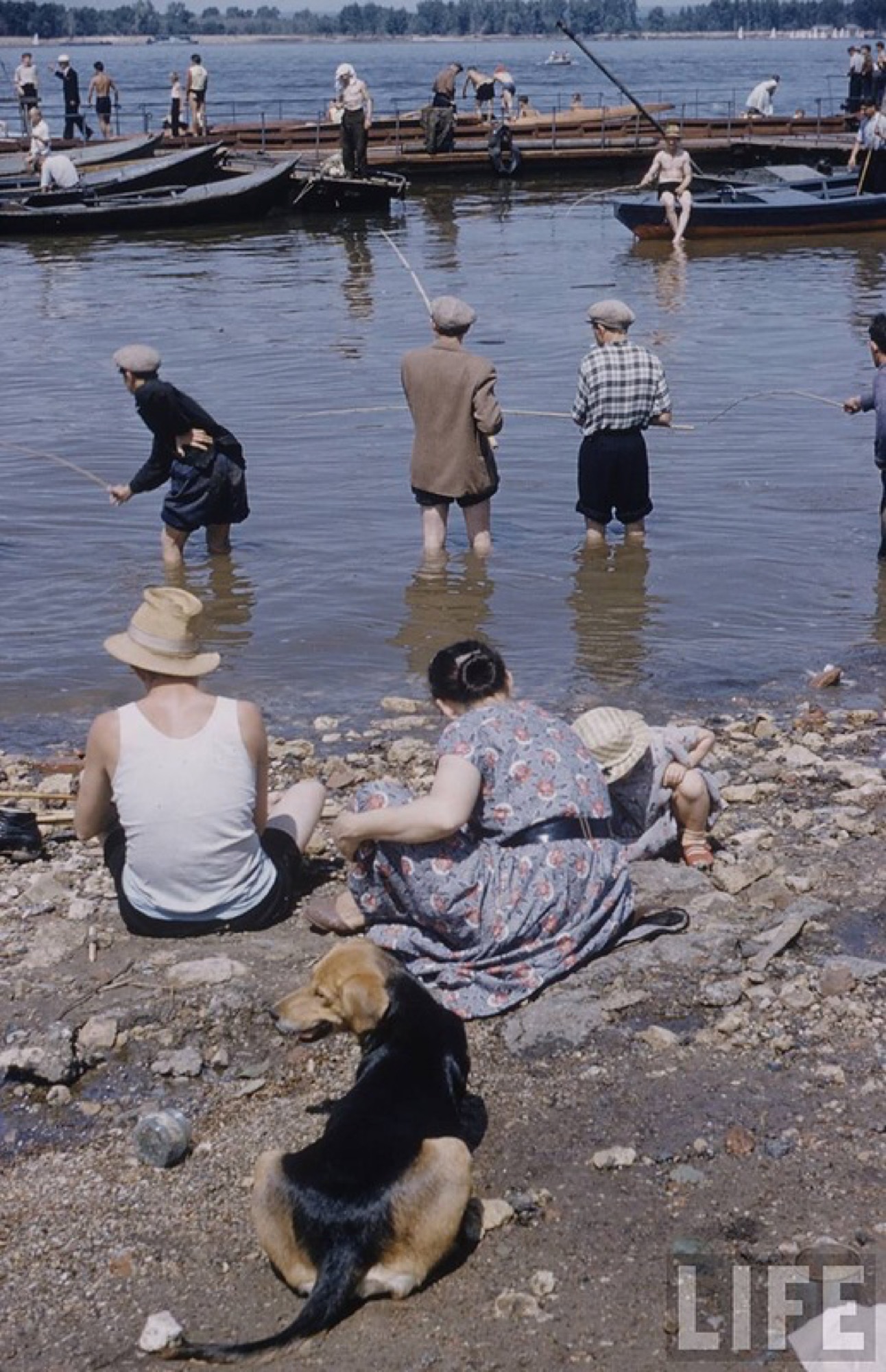 Рыбалка на Волге берег 1950-е