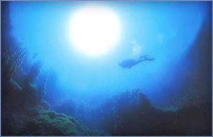 Акватория — подводный мир