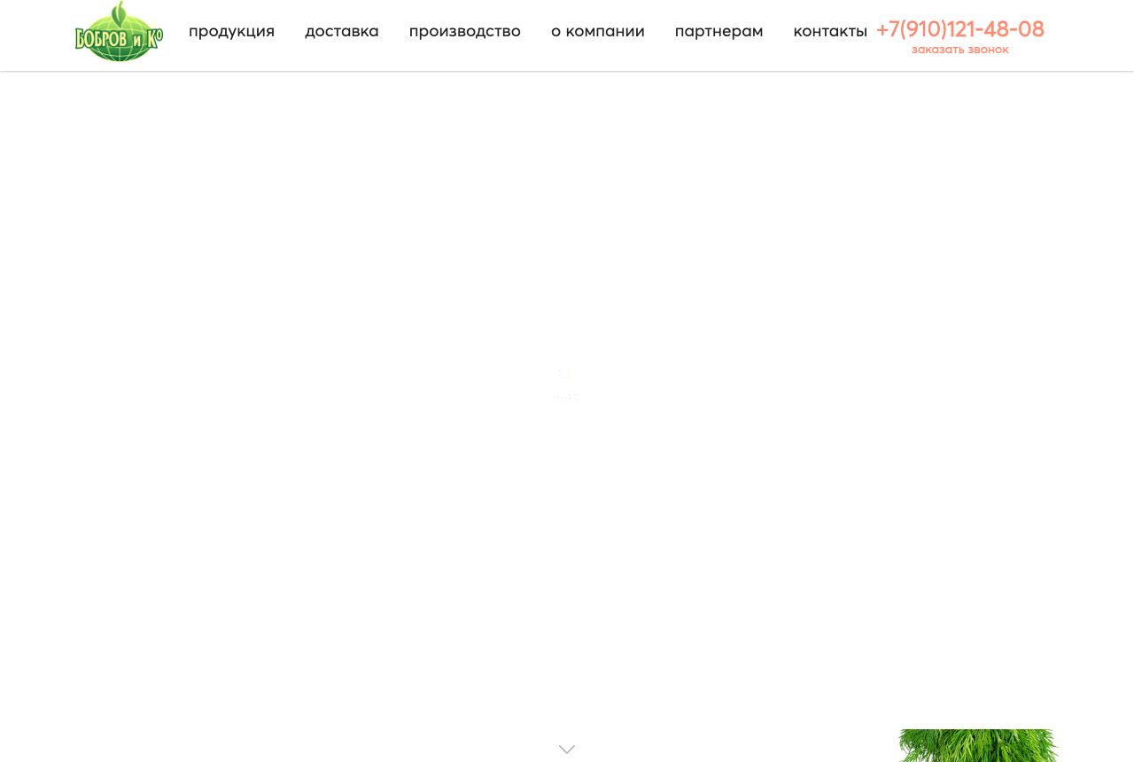 Главная страница bobrov.org в 2024 году